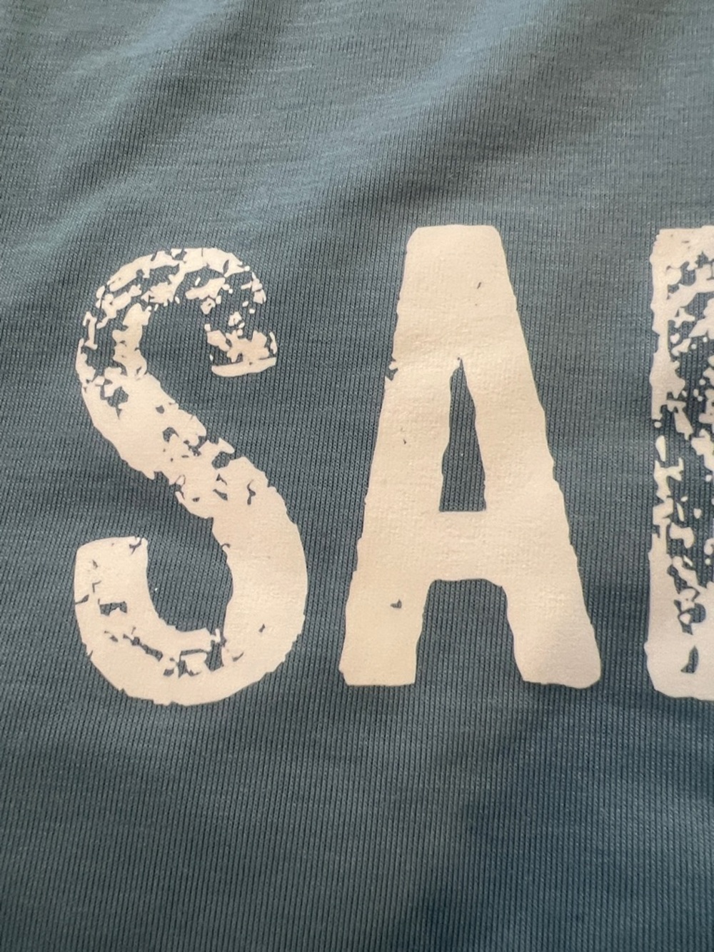 SALTY Graphic Tee - Blue NWOT - Picture 4 of 6